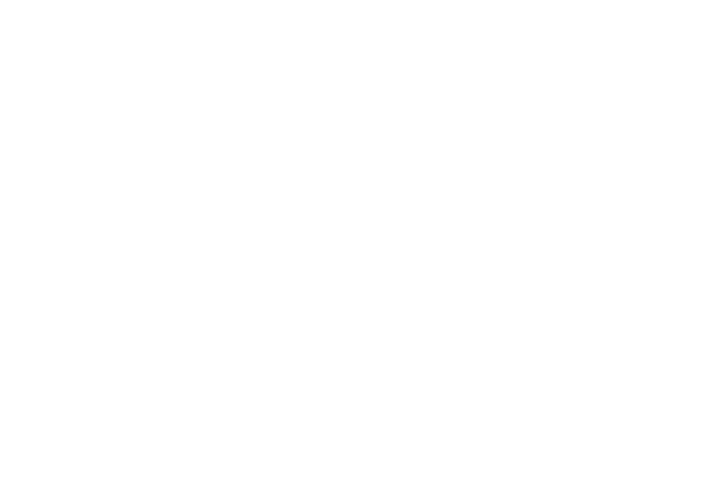 Accao
